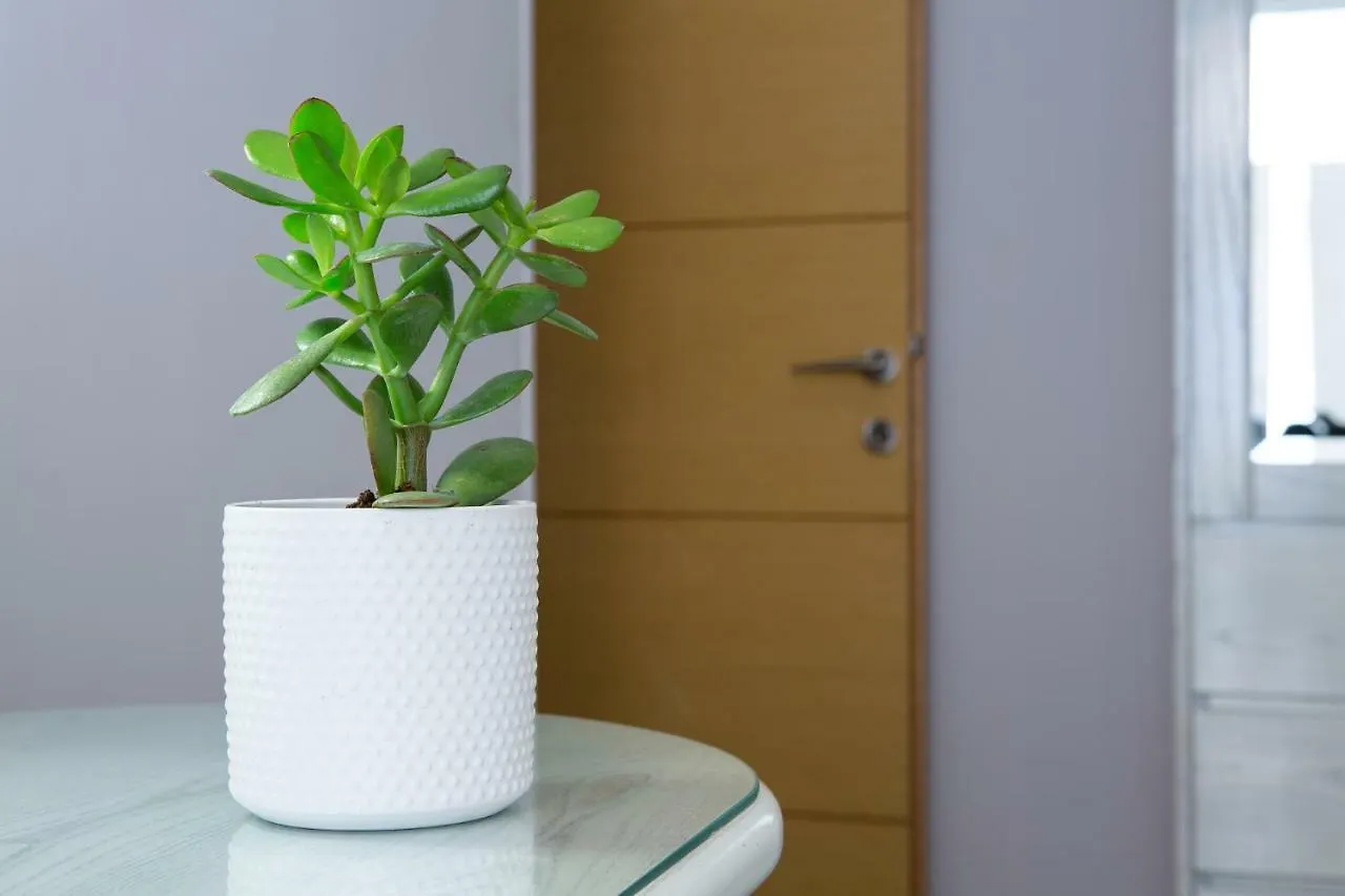Appartamento Modern Est.6 Salonicco Grecia